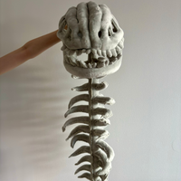 Dinosaur Skeleton™